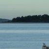 Looking towards Towra Point across Georges River, running into Botany Bay, Sans Souci - 2012